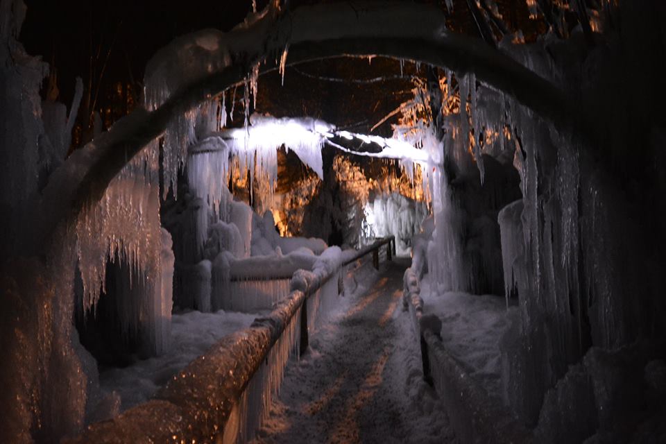 12360406_751127541686226_3801332777598887802_n-1-copy