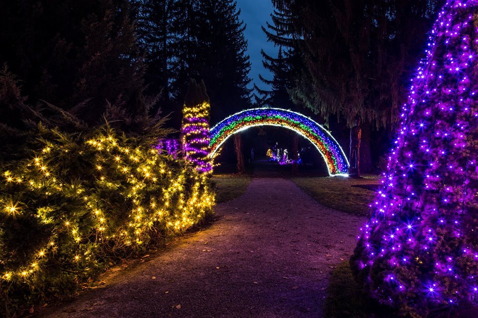 15078757_727534737413567_5286645257574089884_n