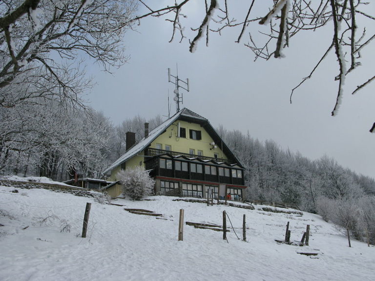 Slivnica in čarovnice