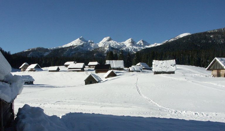 Planina Javornik