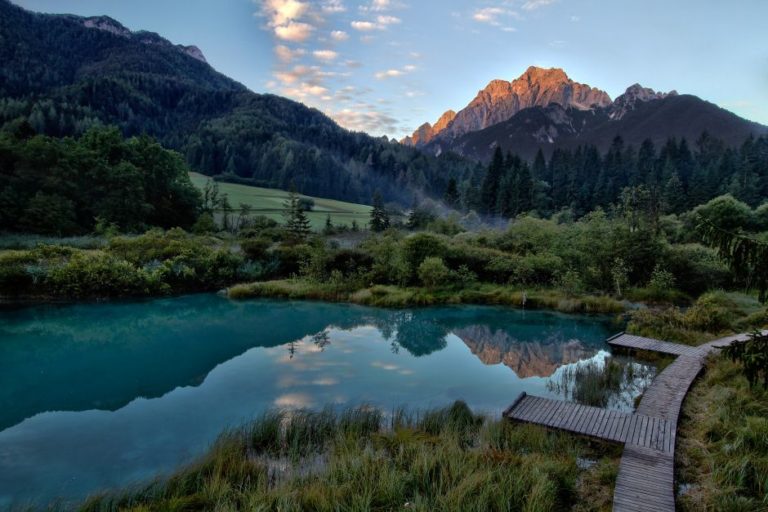 37 zelenci