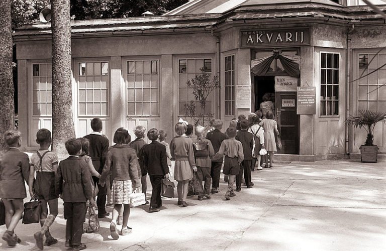 800px Šolarji na obisku v mariborskem Akvariju 1958