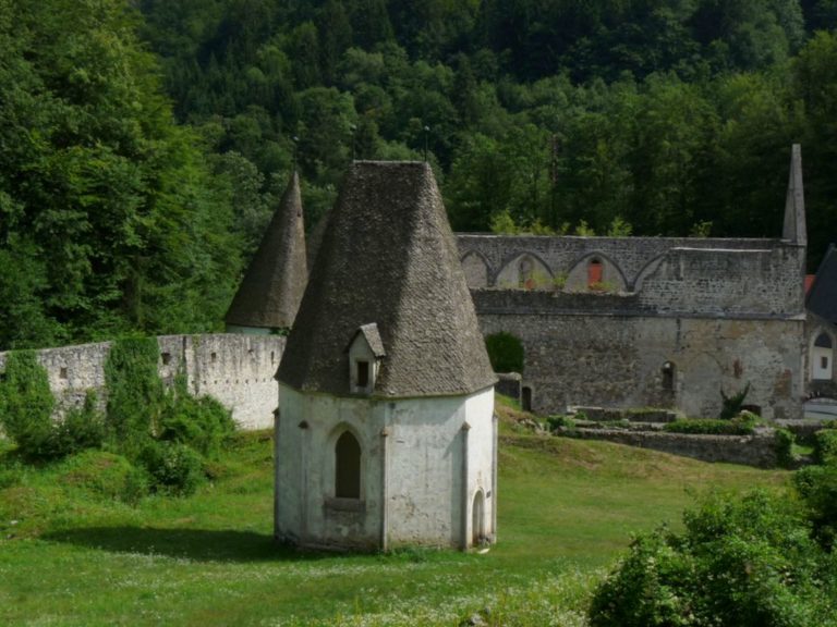 Kartuzija Žiče