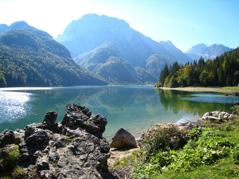 Predil 15