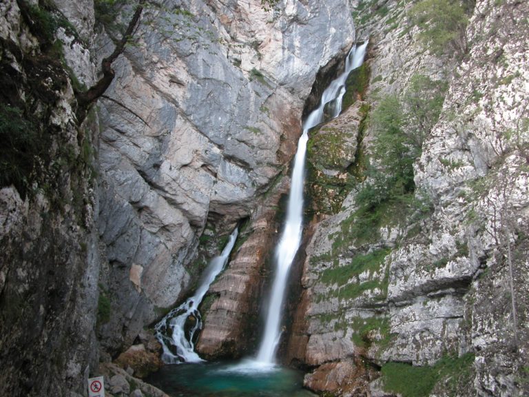 SlapSavica2