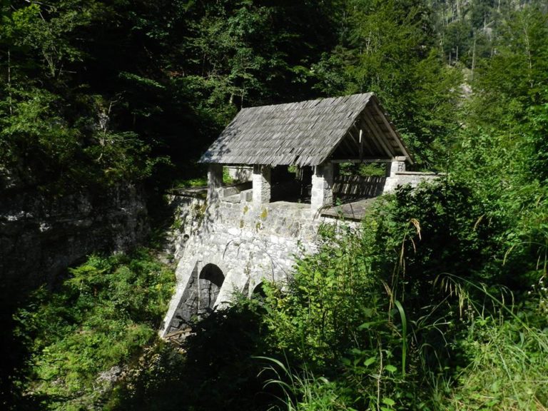 klavze idrijska bela danicagarmus