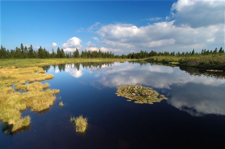 ribnisko jezero lokvanji