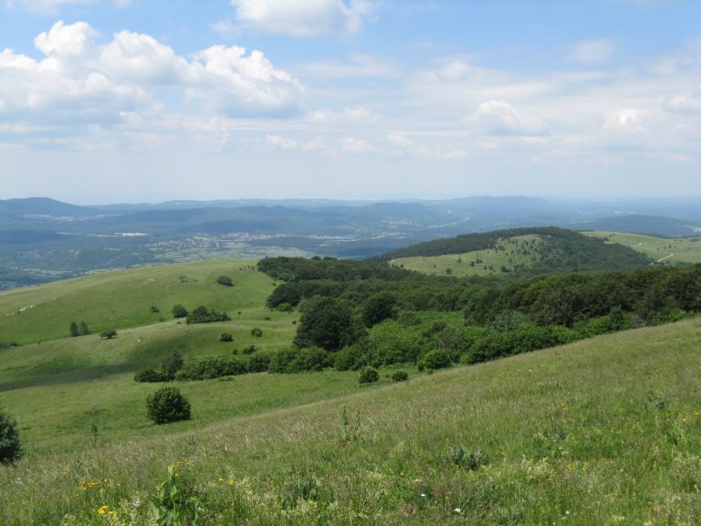 vremscica