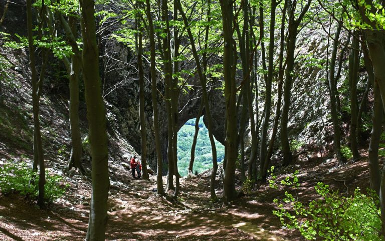 Otliško okno