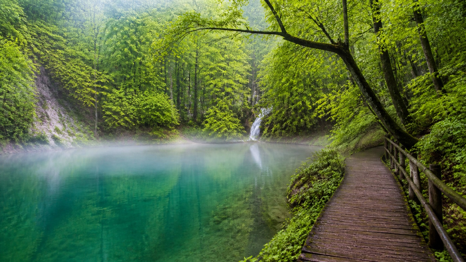 Jankovac Forest Park in Papuk